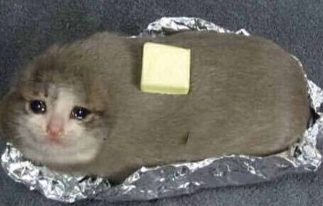 Potato kitten is sad :(